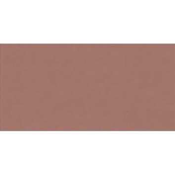 Плитка Abk 0008237 Wide&Style Mini Paprika Ret 59,6x119,4 см