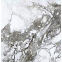 Керамограніт Roberto Cavalli 0500849 Lush Calacatta Renoir Lx Rt 119x119 см