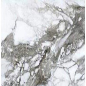 Керамограніт Roberto Cavalli 0500849 Lush Calacatta Renoir Lx Rt 119x119 см