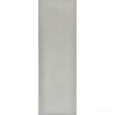Плитка Pamesa Ascea GRIS 10×900×300