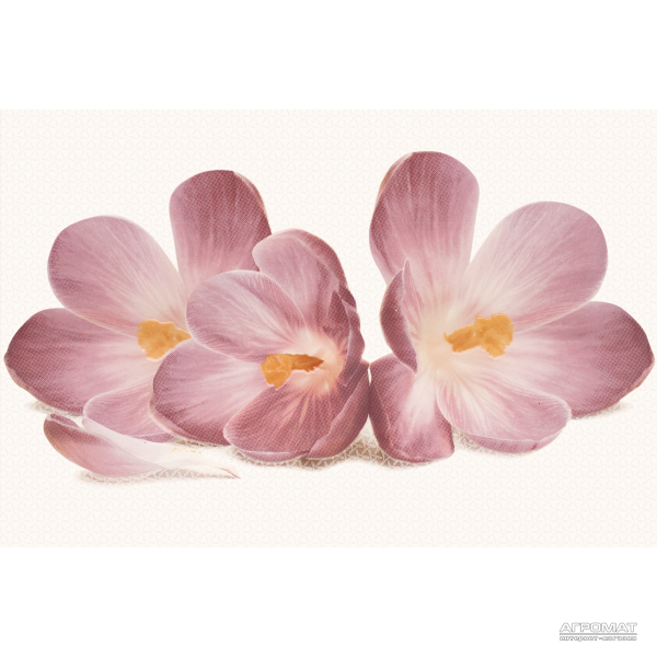 Плитка Cersanit Casablanca FLOWER 8×450×300