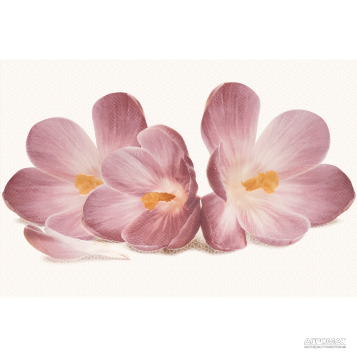 Плитка Cersanit Casablanca FLOWER 8×450×300