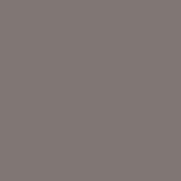 Керамограніт Argenta Ceramica Carpenter Grey 60x60 см