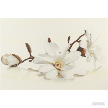 Плитка Opoczno Flora MAGNOLIA декор 9×450×300 для ванной и кухни