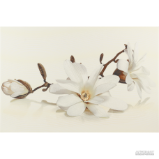 Плитка Opoczno Flora MAGNOLIA декор 9×450×300 для ванной и кухни