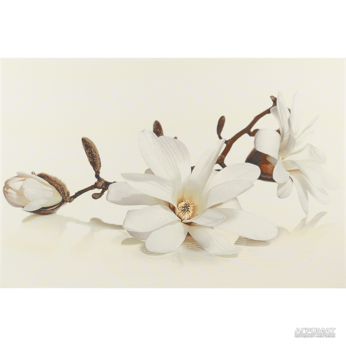 Плитка Opoczno Flora MAGNOLIA декор 9×450×300