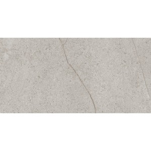 Керамограніт Інтеркерама SURFACE сірий світлий 12060 06 071 60х120 см
