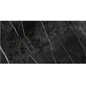 Керамограніт Ceracasa Nuit Gloss 49,1x98,2 см