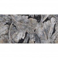 Керамограніт Emil Ceramica Ehav Acanto Patagonia Lapp Luc Rett 60x120 см