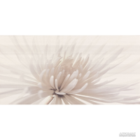 Декор Opoczno Avangarde Centro Flower 29,7x60 см