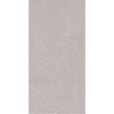 Плитка керамогранітна Macroside Silver RECT LAP 598x1198x10 Paradyz