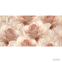 Декор Opoczno Royal Garden Inserto Flower 29,7x60 см