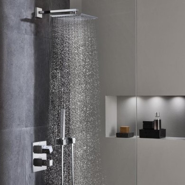 Держатель верхнего душа Grohe Rainshower (27709000) Держатель верхнего душа Grohe Rainshower (27709000)