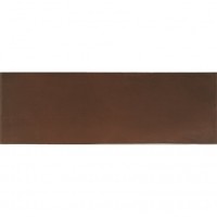 Плитка BALDOCER TENDENZA BORDO 10×600×200
