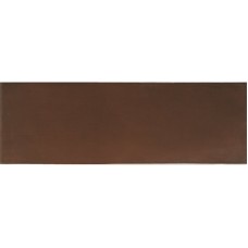 Плитка BALDOCER TENDENZA BORDO 10×600×200