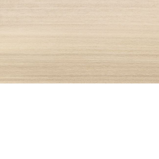 Плитка Saloni Eukalypt FNB625 EUKALYPT CACAO 11×1200×200 под дерево