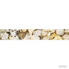 Плитка Opoczno Nizza МУШЛІ В фриз 8×450×70