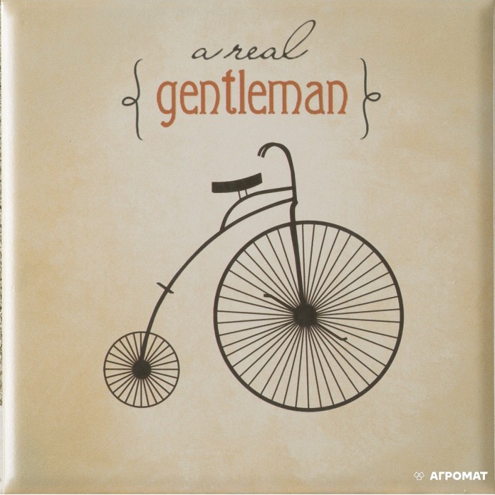 Плитка Mayolica Vintage MIx 8×200×200