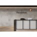 Керамогранит CERRAD GRES CONCRETE GRIS RECT 8×797×1597