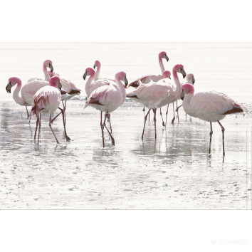 Плитка   Opoczno Elegant Stripes PANNO FLAMINGO декор 2 10×750×500