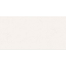 Плитка Abk 0008228 Wide&AmpStyle Mini Snow Ret 60x120 см