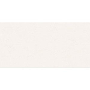 Плитка Abk 0008228 Wide&AmpStyle Mini Snow Ret 60x120 см