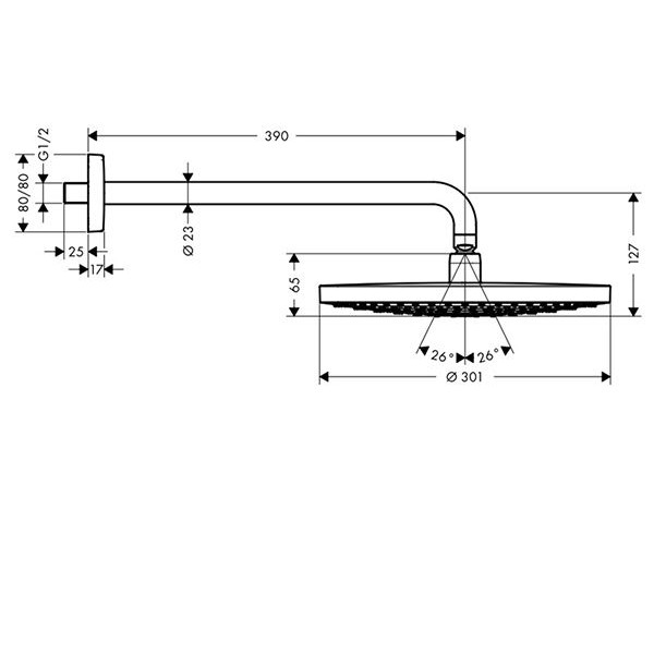Верхний душ Hansgrohe Raindance Select S 300 2jet 27378400