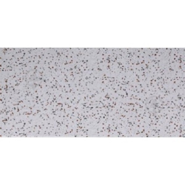 Плитка Cersanit HENLEY FLAKE 8×598×298