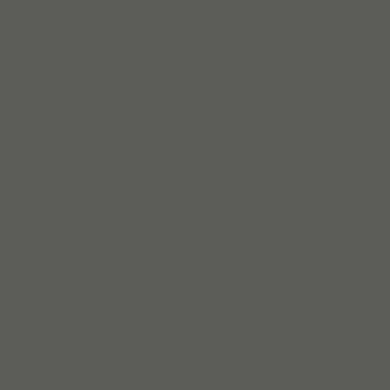 Керамограніт Argenta Ceramica Carpenter Dark 60x60 см