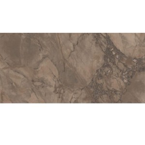 Керамограніт Ariana Epoque 0004405 Brown Ret 60x120 см