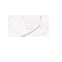 Керамограніт Porcelanosa Baltic Pul. (A) 58,6x118,7 см