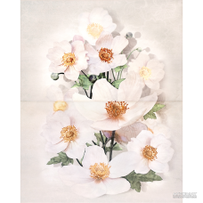 Плитка Cersanit Rensoria 8×500×400