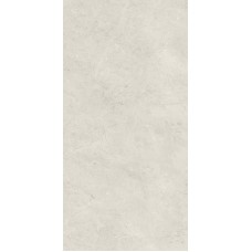 Плитка стінова Afternoon Silver RECT 298x598x9 Paradyz