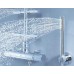 Душевая система Grohe Rainshower System 210 27374000