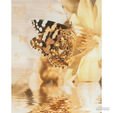 Плитка Cersanit Miranda DEC BUTTERFLY 8×500×400 под дерево для ванной и кухни