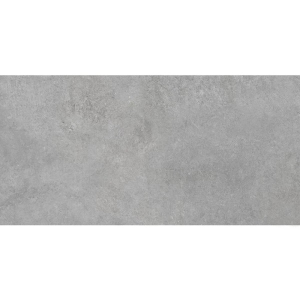 Керамограніт Cerrad Gres Sellia Silver Rect 59,7x119,7 см