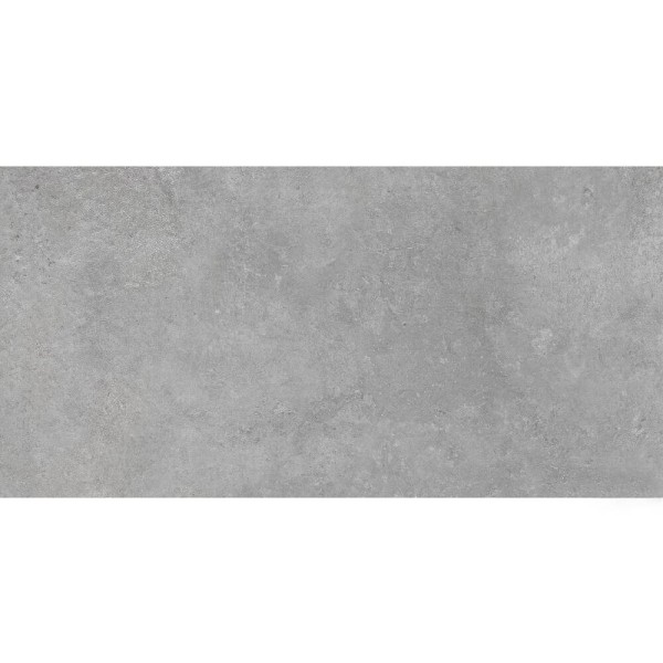 Керамограніт Cerrad Gres Sellia Silver Rect 59,7x119,7 см