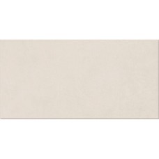 Керамограніт Ape Ceramica Argillae Neve Rect 60x120 см