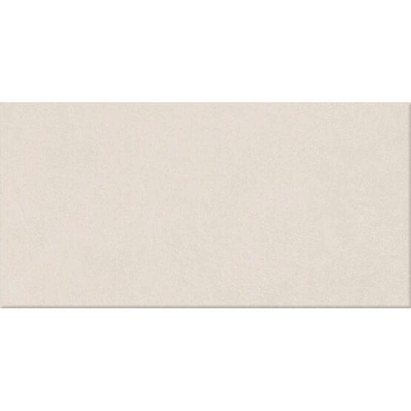 Керамограніт Ape Ceramica Argillae Neve Rect 60x120 см