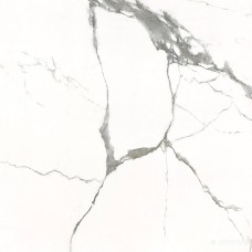 Керамограніт Almera Ceramica Carrara Gxj00160S 60x60 см