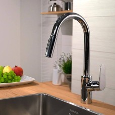Змішувач для кухні Hansgrohe Focus 31815000