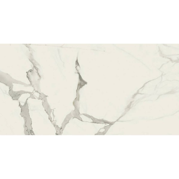 Керамограніт Baldocer Statuario Natural Rect. 60x120 см