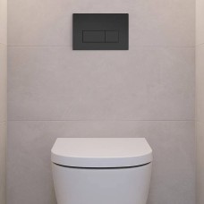 Клавіша змиву Geberit Delta50 115.119.14.1 чорний мат