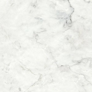 Керамограніт Cicogres Vintage White Mt 100х100 см