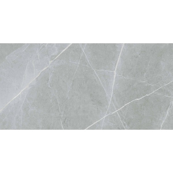 Керамограніт Almera Ceramica (Spain) Alure Grey Satinado Rect 60x120 см