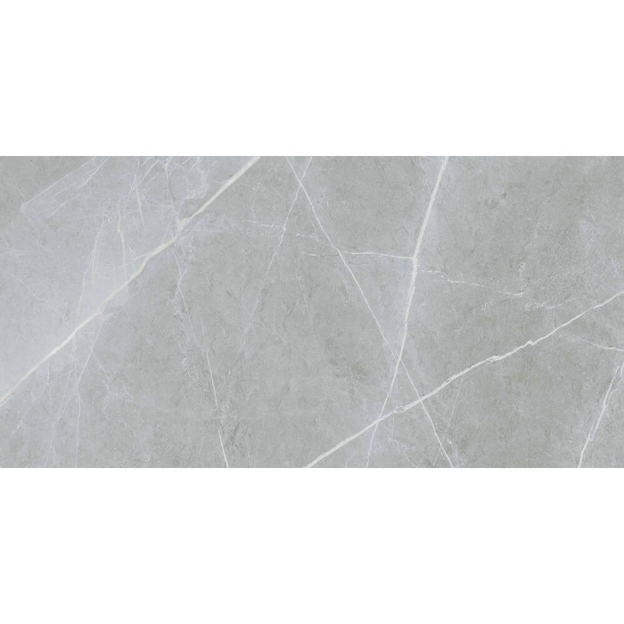 Керамограніт Almera Ceramica (Spain) Alure Grey Satinado Rect 60x120 см