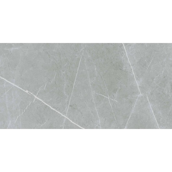 Керамограніт Almera Ceramica (Spain) Alure Grey Satinado Rect 60x120 см