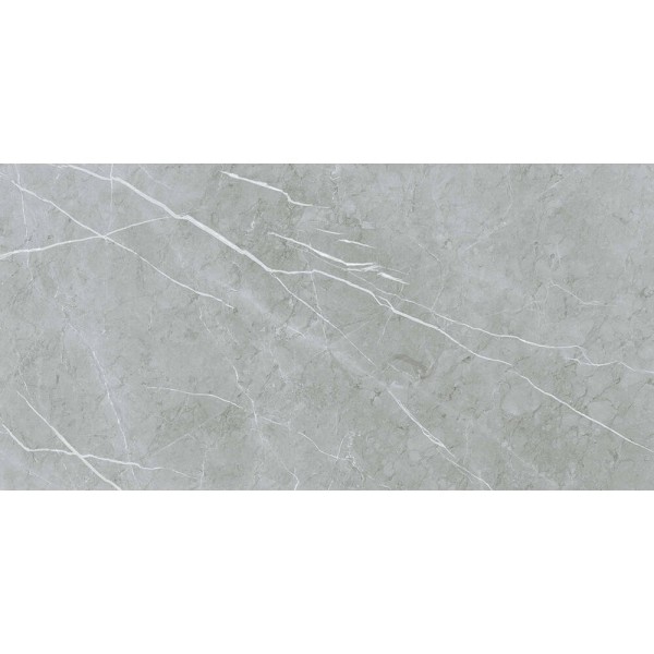 Керамограніт Almera Ceramica (Spain) Alure Grey Satinado Rect 60x120 см