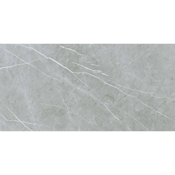 Керамограніт Almera Ceramica (Spain) Alure Grey Satinado Rect 60x120 см