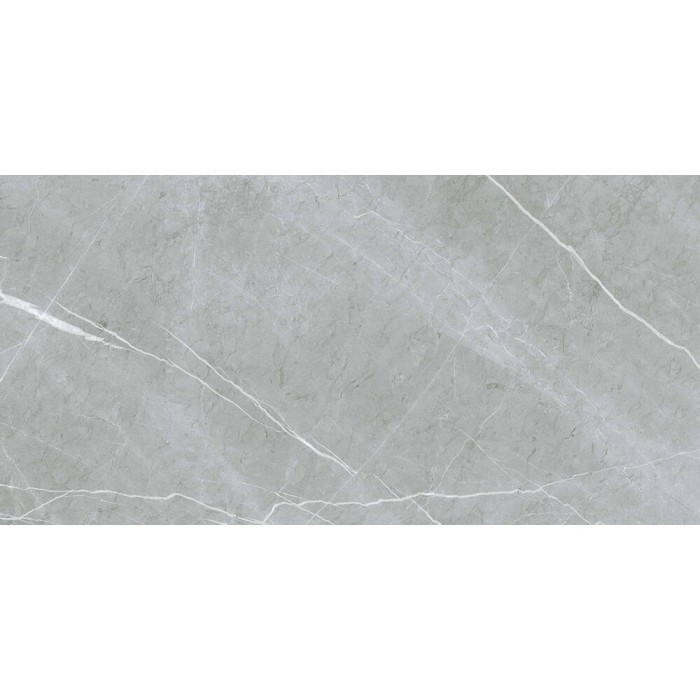 Керамограніт Almera Ceramica (Spain) Alure Grey Satinado Rect 60x120 см